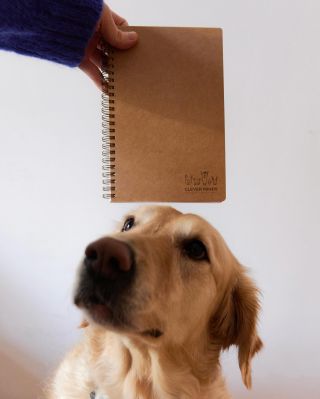 25. 10. je Mezinárodní den domácích mazlíčků, tak toho svého pořádně podrbejte za uchem a sobě na památku pořiďte náš...